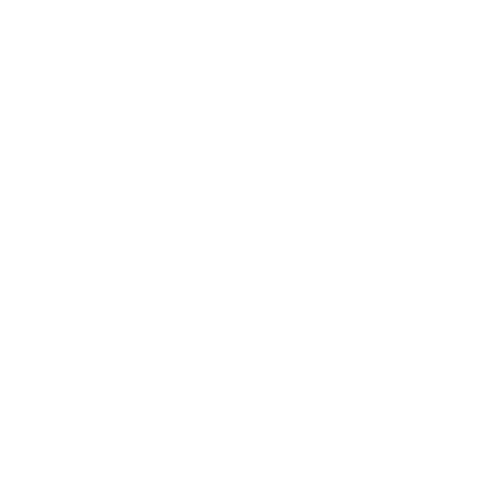 Dad Joke Survivor - Roadkill T-Shirts