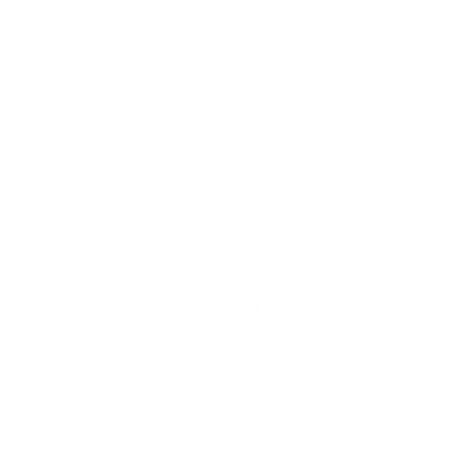 Funny T-Shirts design "SHENANIGANS BEGIN"