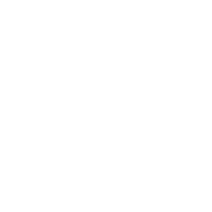 FLAG IRISH - Roadkill T-Shirts