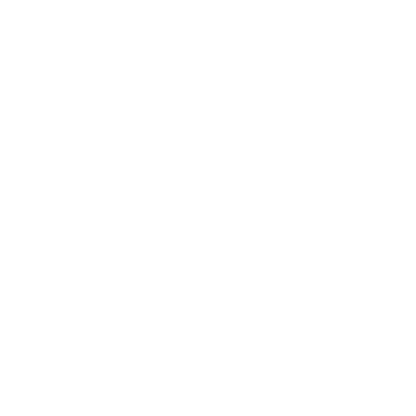 Funny T-Shirts design "4Leaf Clover 2024 Mens Tshirt"