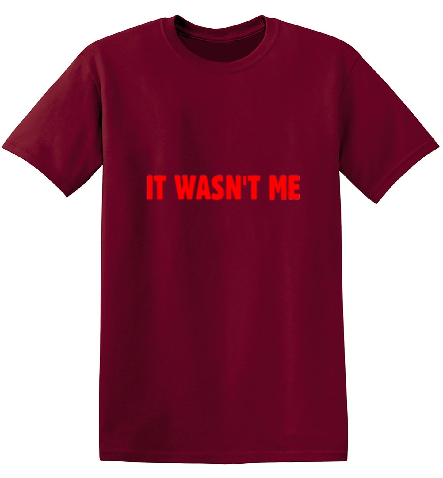 Funny T-Shirts design "It Wasn't Me"