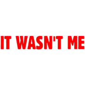 Funny T-Shirts design "It Wasn't Me"