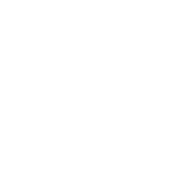 Future Trophy Wife - Roadkill T-Shirts