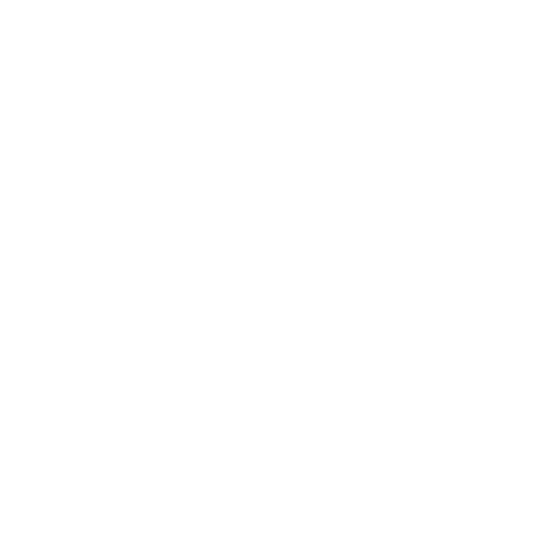 Funny T-Shirts design "I Run a Tight Shipwreck"