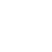 Funny T-Shirts design "Seemed Like A Good Idea At The Time"