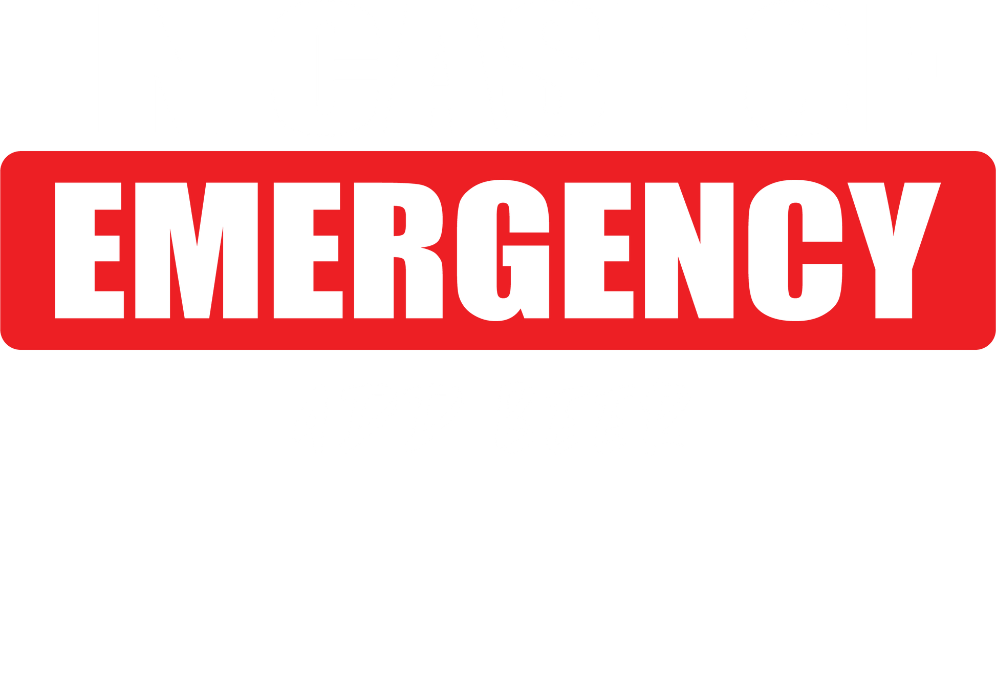 In Case of Emergency, Add Beer