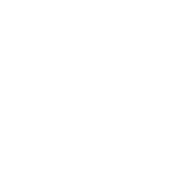 Funny T-Shirts design "T-Rex Hates Push-Ups"
