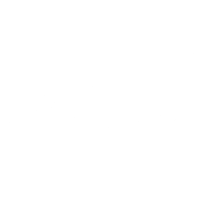 Funny T-Shirts design "I'm A Broccoli And I Look Like A Tree, I'm A Walnut And I Look Like A Brain"