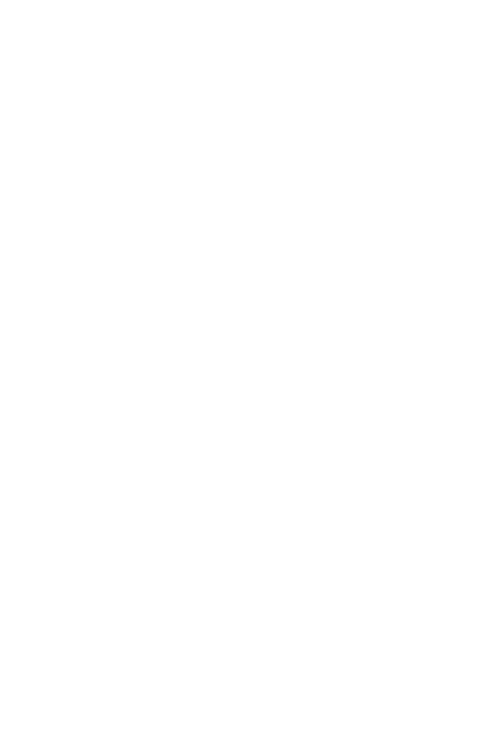Worlds Silliest Goose
