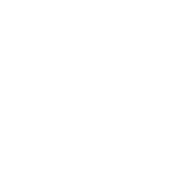 I'm Just Here To Establish An Alibi - Roadkill T-Shirts