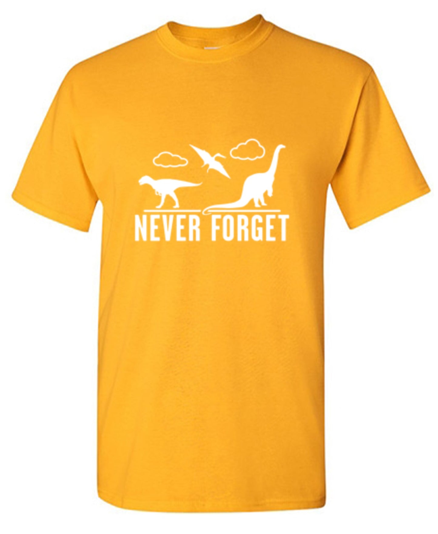 Funny T-Shirts design "Never Forget - Dinosaurs - Youth"