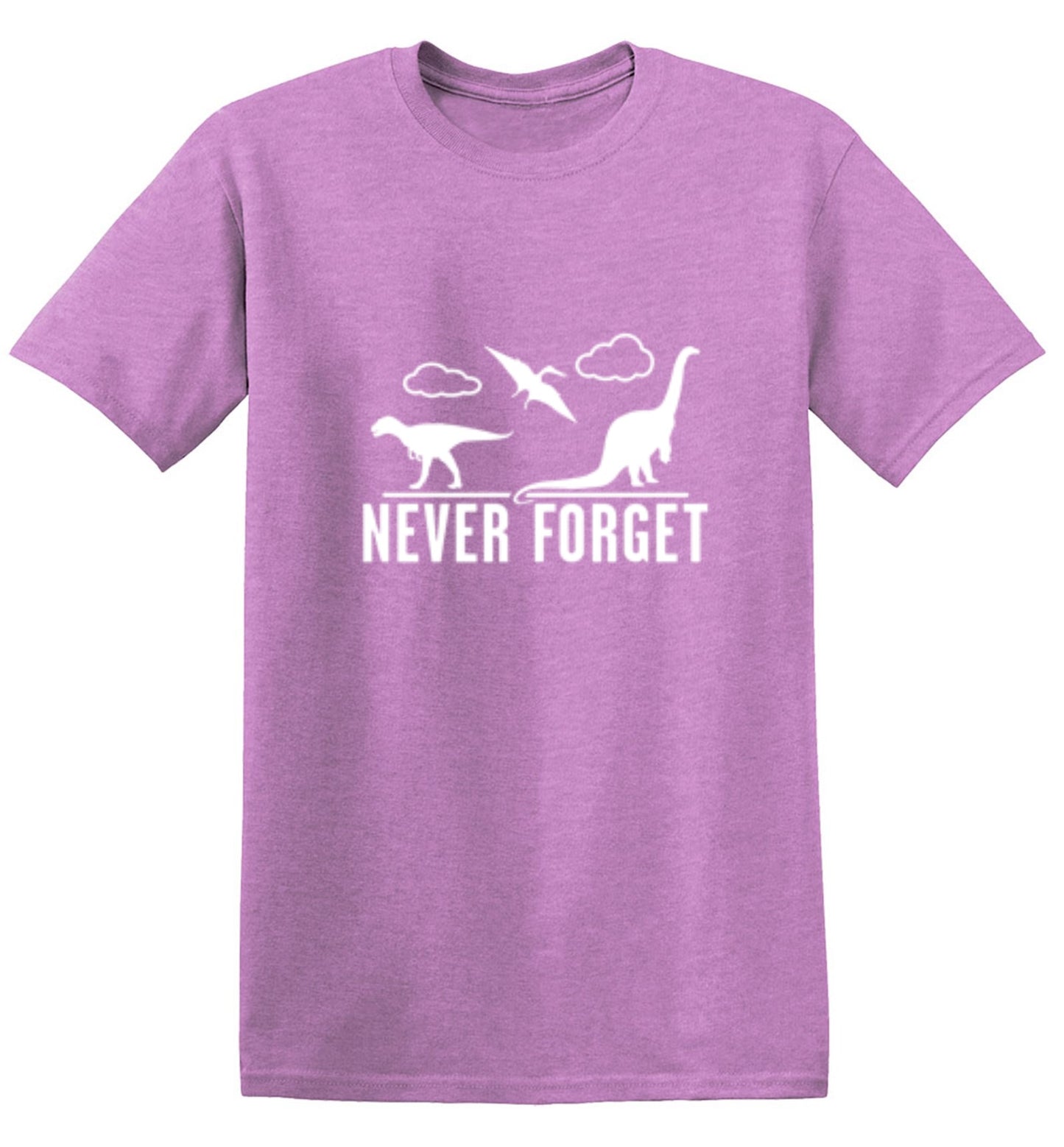 Funny T-Shirts design "Never Forget - Dinosaurs - Ring Spun Tee"