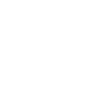 Volunteer - Roadkill T-Shirts