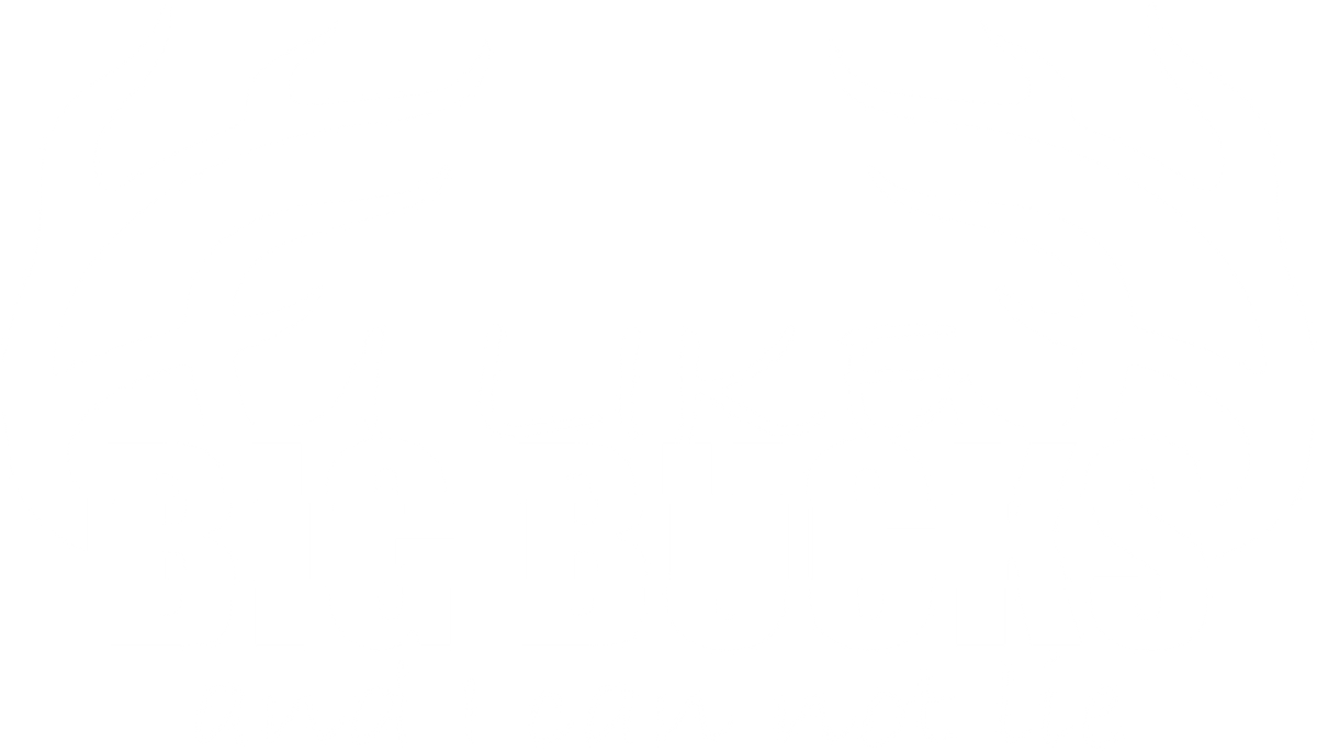 Funny T-Shirts design "I like Big Bucks Shirt"