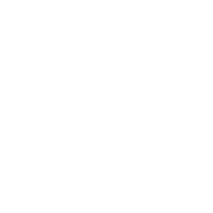 Funny T-Shirts design "This Is My Step Ladder"
