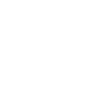 Funny T-Shirts design "I'm Disappointed When a Liar's Pants Don't Catch On Fire"