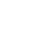 Funny T-Shirts design "You Can Have My Guns Bullets First"