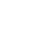 Funny T-Shirts design "Irish Drinking Team"