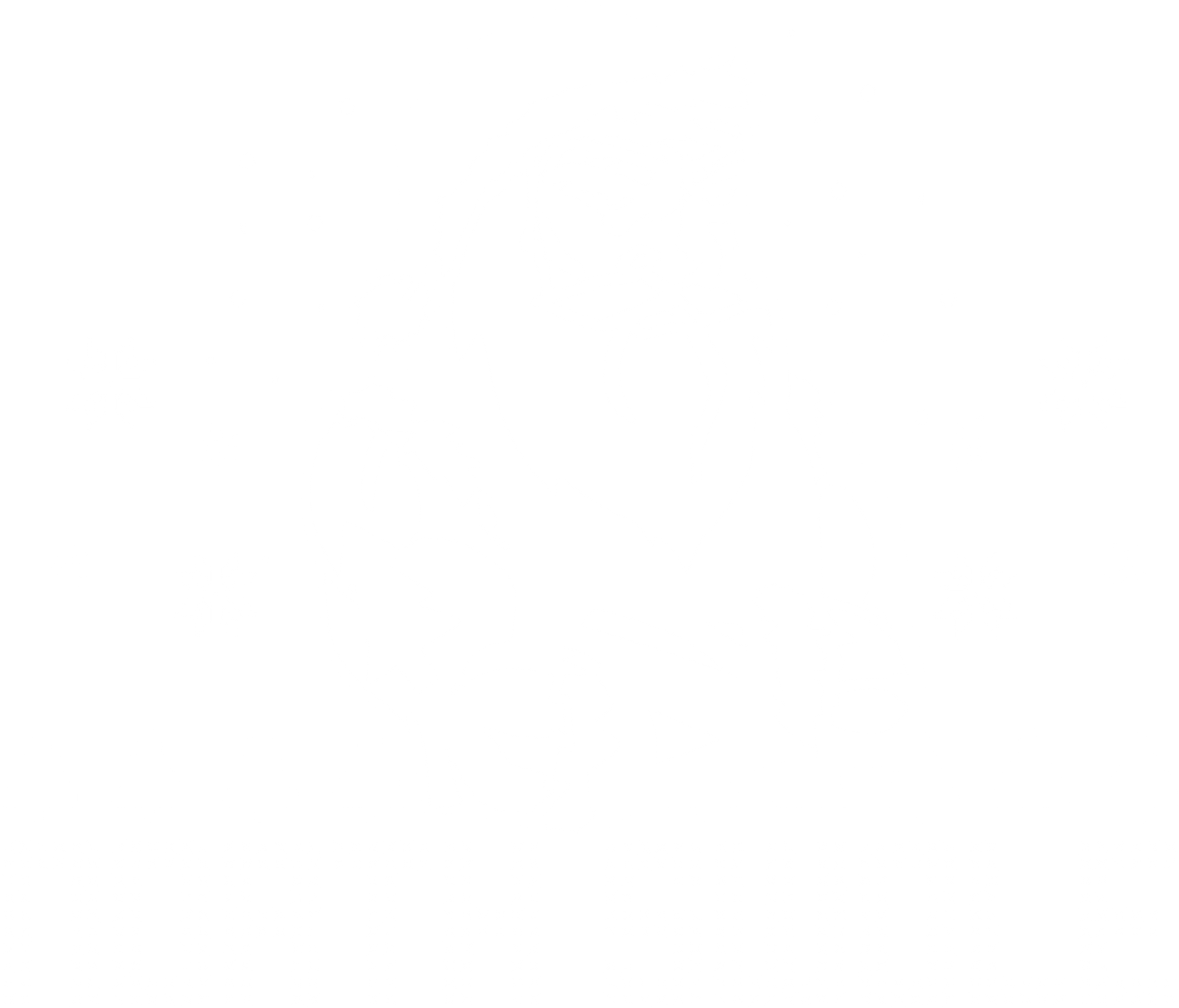North Swole Funny Shirt - Roadkill T-Shirts
