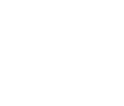 North Swole Funny Shirt - Roadkill T-Shirts