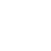 Funny T-Shirts design "Best Dad Ever T-Shirt"