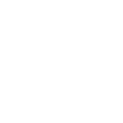 Funny T-Shirts design "Independence Day T-Shirt"