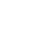 Brooklyn Stickball Champions - Roadkill T-Shirts