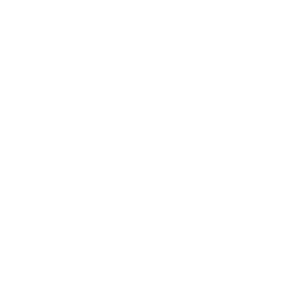 Funny T-Shirts design "Papa Bear - Fathers Day Shirt"