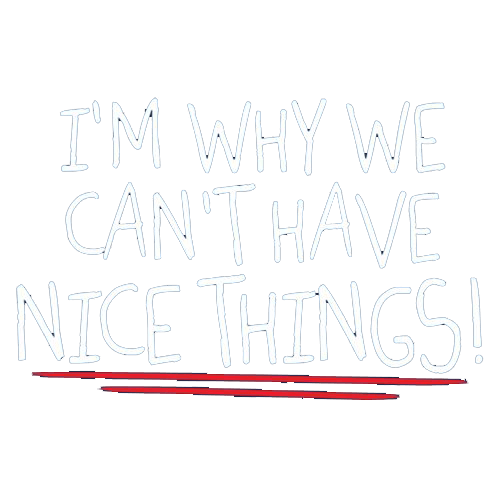 Funny T-Shirts design "I'm Why We Can't Have Nice Things"