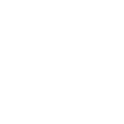 Funny T-Shirts design "It's Not Drinking Alone If Your Dog Is With You T-Shirt"