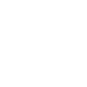 Funny T-Shirts design "Aren't We Taking The Idea That Anyone Can Be President A Little To Far?"