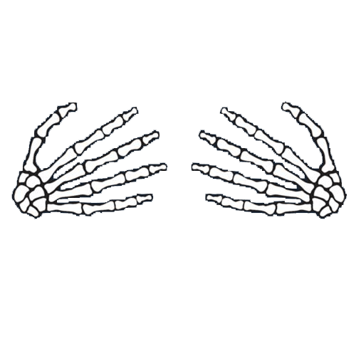 Funny T-Shirts design "Skeleton Hands On Boobs T-Shirt"