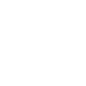 Funny T-Shirts design "Official St. Patrick's Day Beer Drinking Shirt"