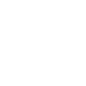 Funny T-Shirts design "I Do This Thing Called Whatever I Want"