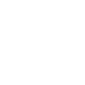 Can You Not - Roadkill T-Shirts