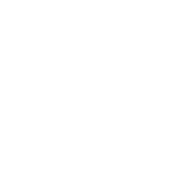 Drunk Wives Matter - Roadkill T-Shirts