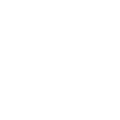 I Have Some Terrible Ideas If You Need Any - Roadkill T-Shirts