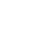 Funny T-Shirts design "I'm Only A Morning Person On Dec. 25th T-Shirt"