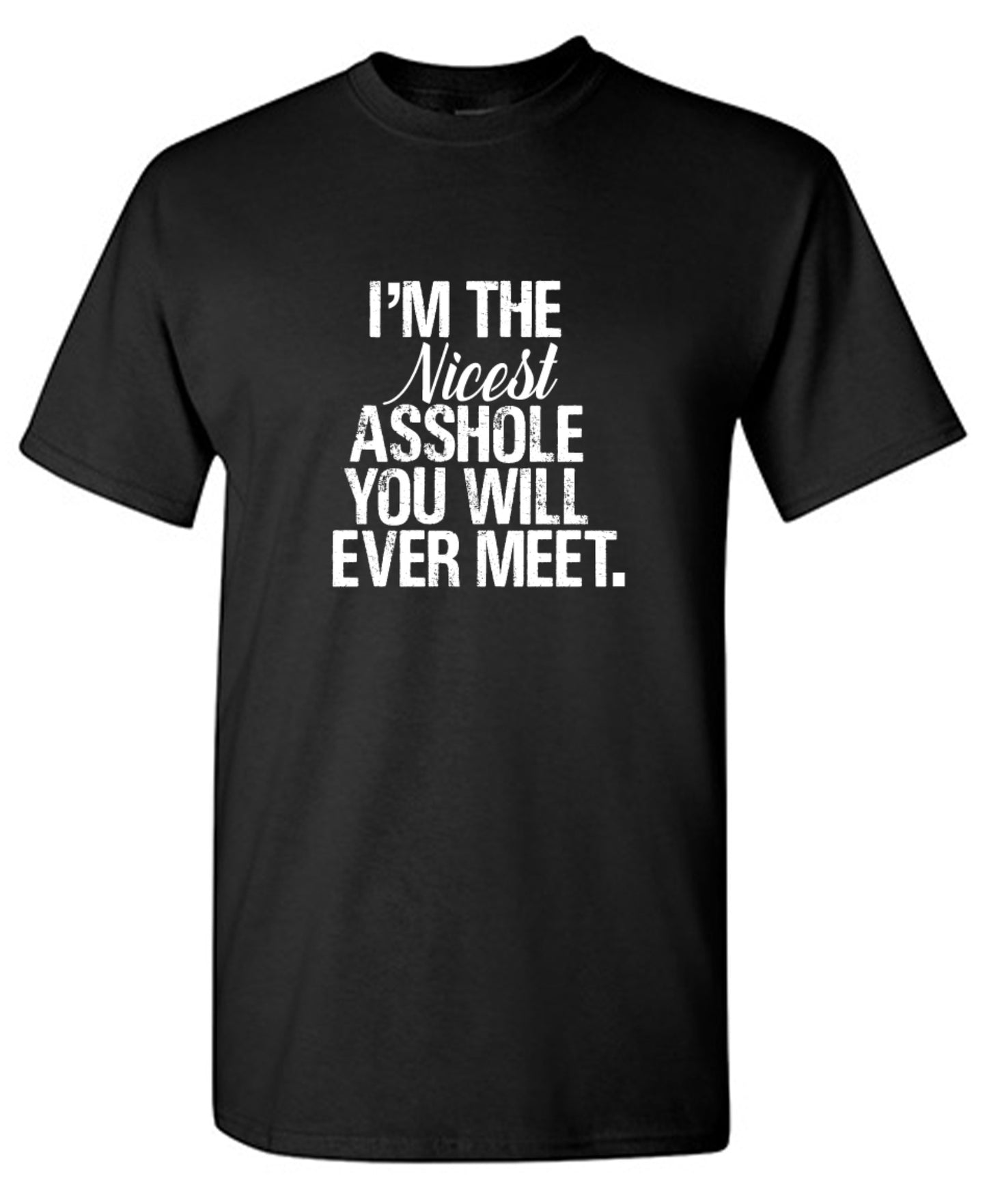 Funny T-Shirts design "I'm the Nicest Asshole, You will ever Meet Shirt - Youth"