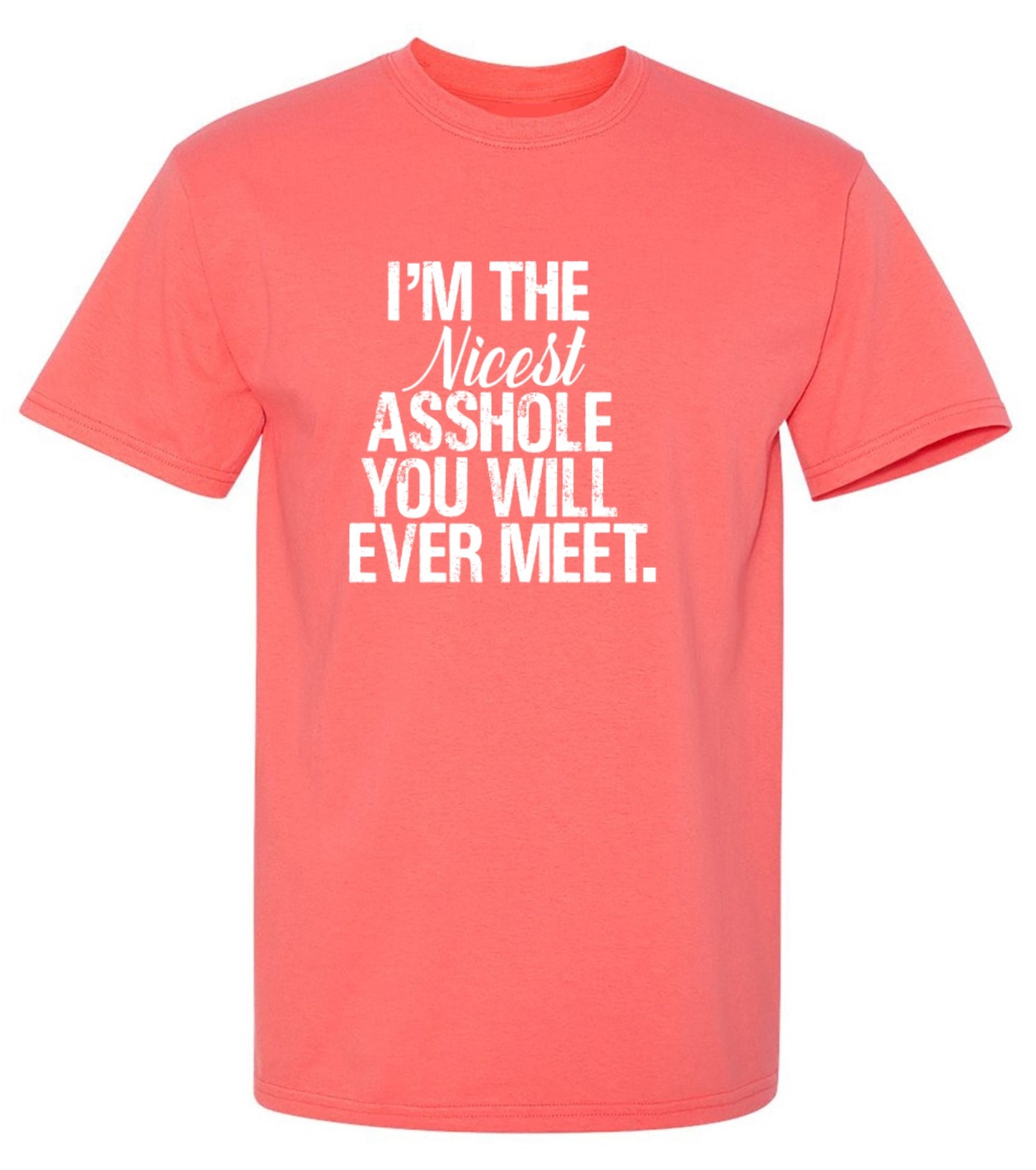 Funny T-Shirts design "I'm the Nicest Asshole, You will ever Meet Shirt"