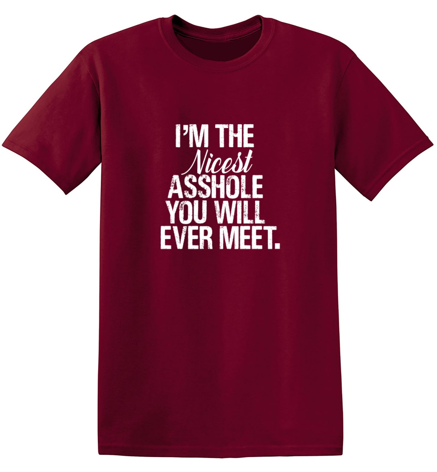 Funny T-Shirts design "I'm the Nicest Asshole, You will ever Meet Shirt"