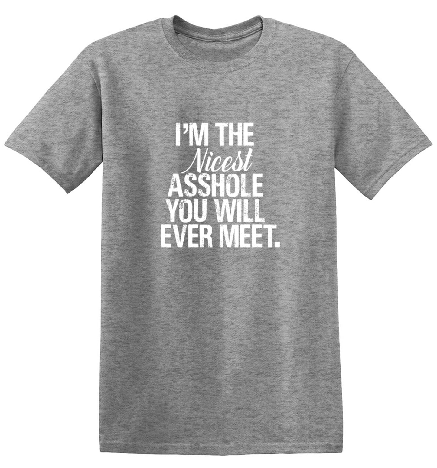 Funny T-Shirts design "I'm the Nicest Asshole, You will ever Meet Shirt"