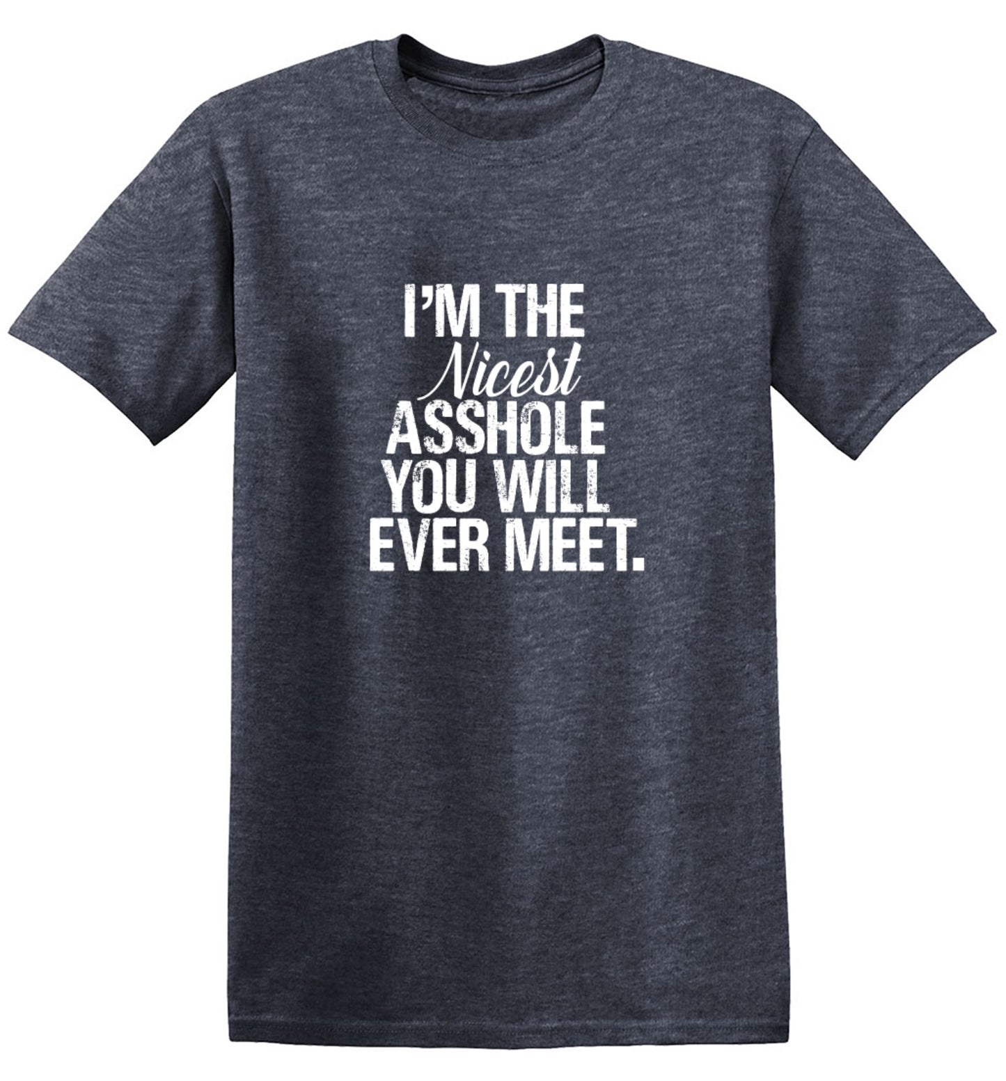 Funny T-Shirts design "I'm the Nicest Asshole, You will ever Meet Shirt"