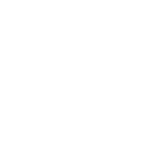 Funny T-Shirts design "Irish American Flag"