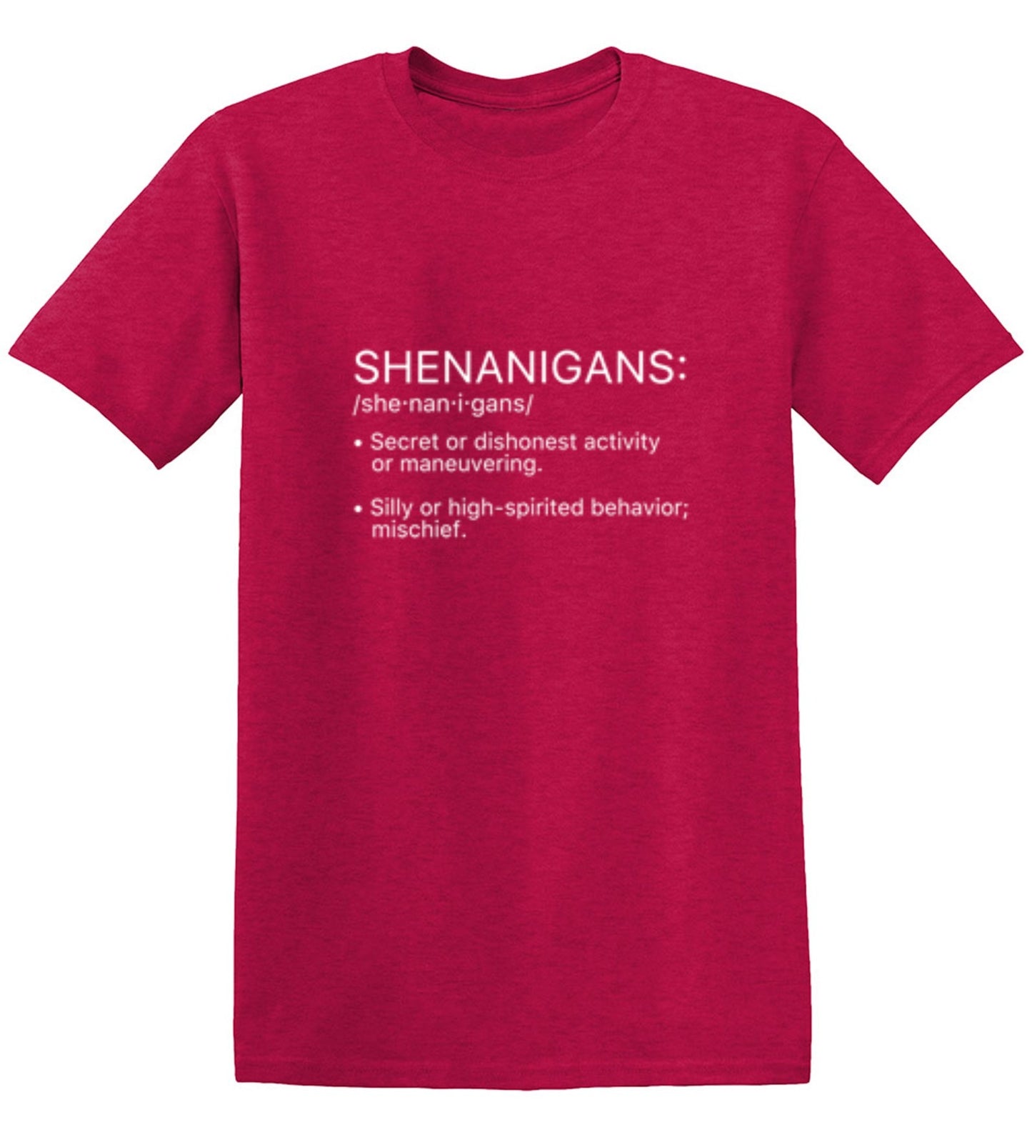Shenanigans Definition - Roadkill T-Shirts