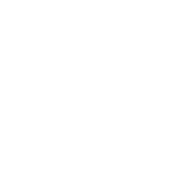 Shenanigans Definition - Roadkill T-Shirts