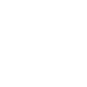 Funny T-Shirts design "NoBody Needs An AR15? Nobody Needs A Whiny Little Bitch Either, Yet Here You Are"