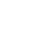 Funny T-Shirts design "Smoke Weed Everyday T-Shirt"