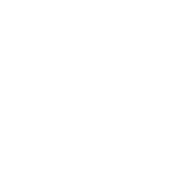 Funny T-Shirts design "Best Wife Ever T-Shirt"
