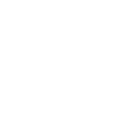 Funny T-Shirts design "Easily Distracted By Dogs"